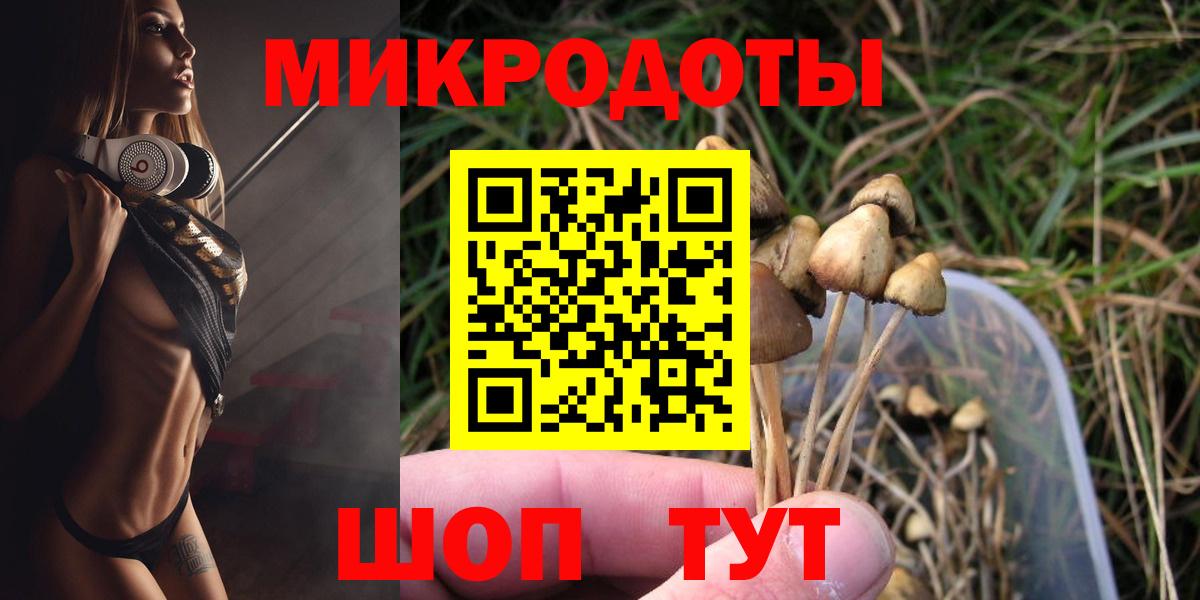 Галлюциногенные грибы Magic Shrooms  Вход с VPN  Новороссийск  Псилоцибиновые грибы Magic Shrooms 